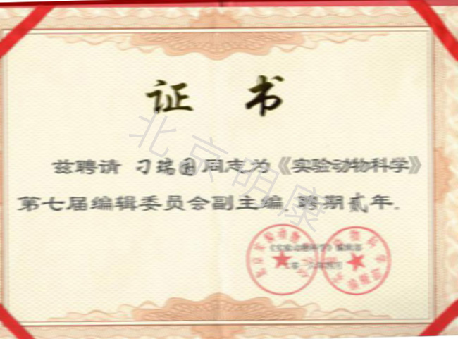 荣誉证书